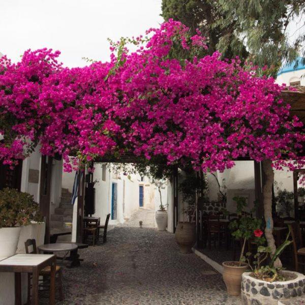 Villa Orpheus Santorini Мегалохори Экстерьер фото